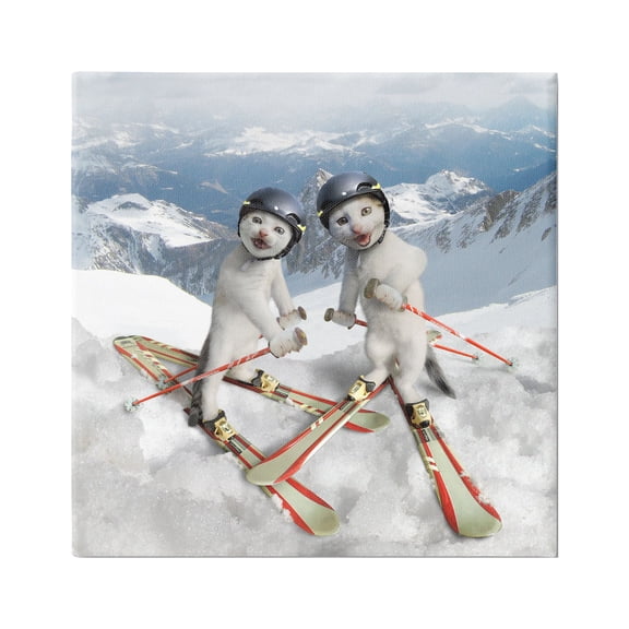 Stupell Industries Humorous White Cats Skiing Gear Snowcapped Mountains Graphic Art Gallery Wrapped Canvas Print Wall Art, Design by Chiara