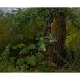 thumbnail image 2 of Carl Gustav Carus 23x20 Gold Ornate Framed and Double Matted Museum Art Print Titled - Willow Trunk with Undergrowth (circa 1820), 2 of 4