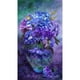 thumbnail image 1 of Taladro Pintura Diamante (DE0150) 5D DIY Florero violeta completo Kit de bordado de punto de cruz 50x70cm FLhrweasw Nuevo, 1 of 1