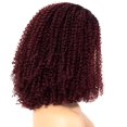 thumbnail image 5 of Curly Lace Front Wigs  for Women Black  (1BOT99J), 5 of 5