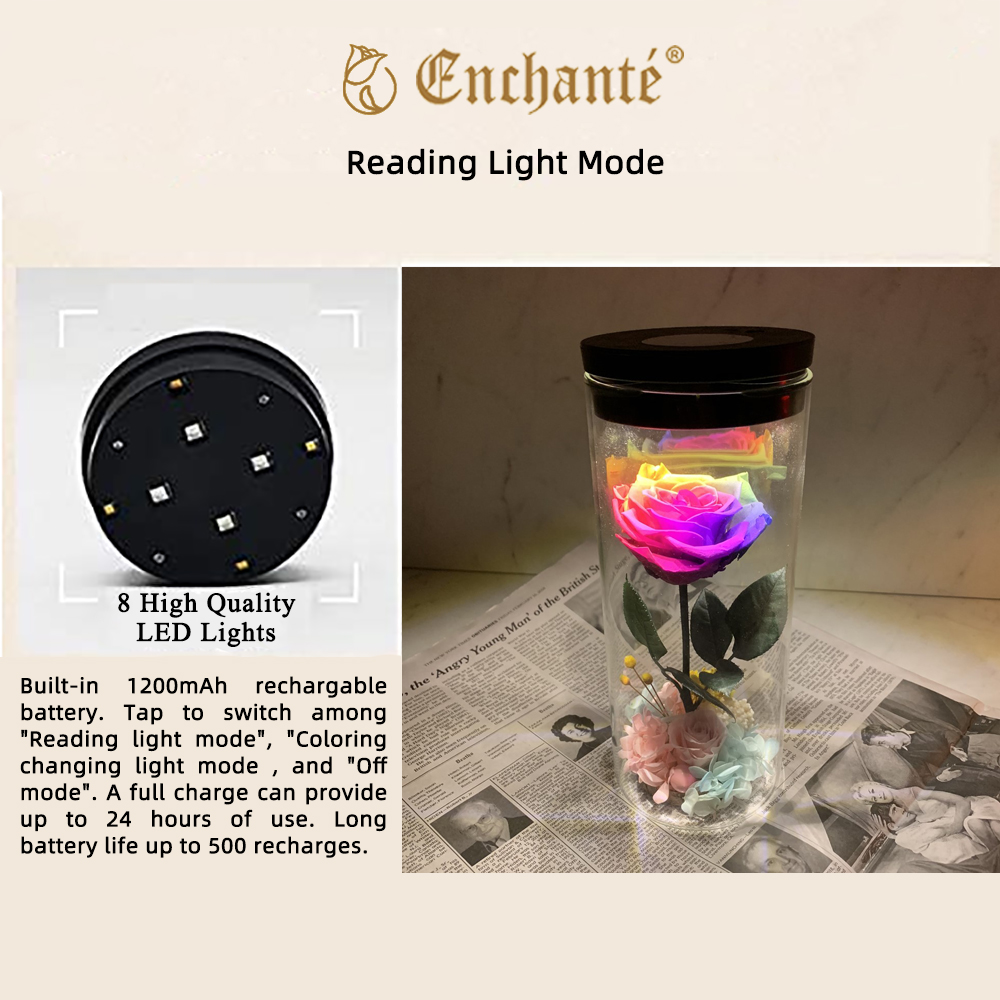 8.5" Enchante Forever Rose Touch Night Light Preserved Flower LED Lamp, Red