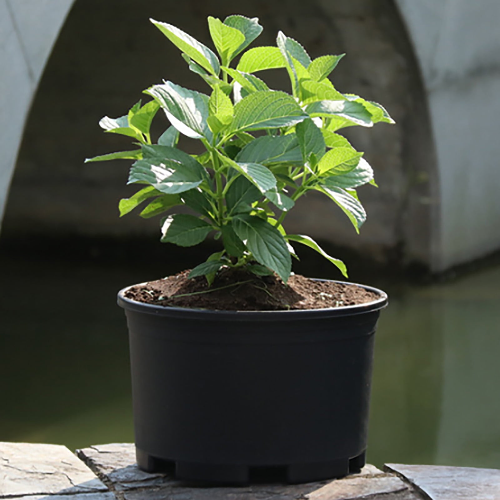 On Sale Clearance! Gardening Flower Pot, Large Flower Pots Gardening Pots for Indoor and Outdoor Use