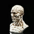 thumbnail image 2 of 4 "Human Skull Drawing Antique White, 2 of 6