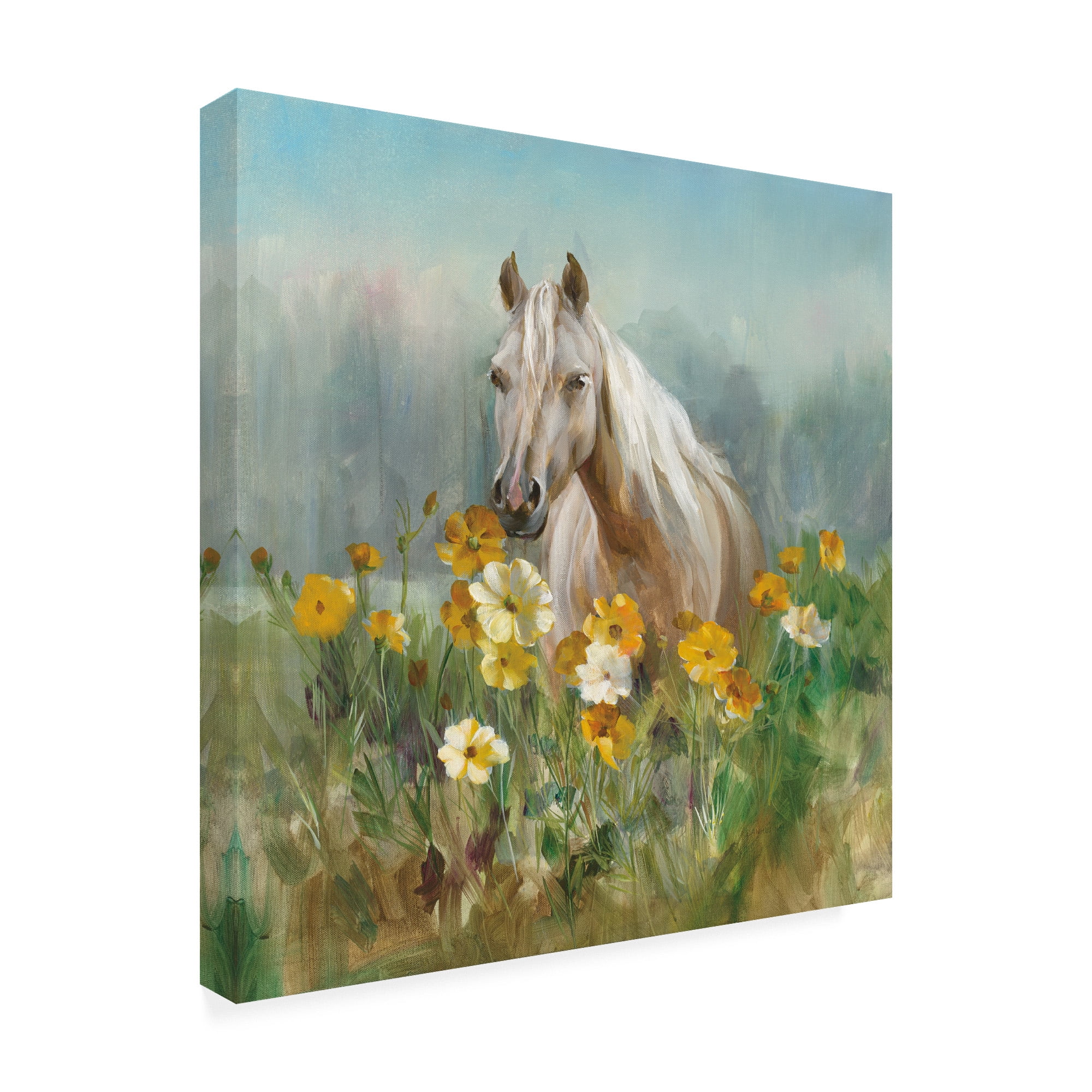 Trademark Fine Art 'Farm and Field II' Canvas Art by Danhui Nai