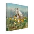 thumbnail image 2 of Trademark Fine Art 'Farm and Field II' Canvas Art by Danhui Nai, 2 of 3