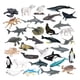 thumbnail image 2 of 32 Piezas Animales Marinos Realistas Cognición Infantil Juguetes Educativos para Niños Modelo Animal Artificial Juguete para Juegos de Cumpleaños Niño, 2 of 8
