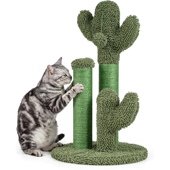 BarefHaven Cactus Cat Scratching Post, Cute Green Cat Scratcher with Natural 3 Scratching Poles & Interactive Dangling Ball, Small Cat Tree Tower for Indoor Cats & Kittens
