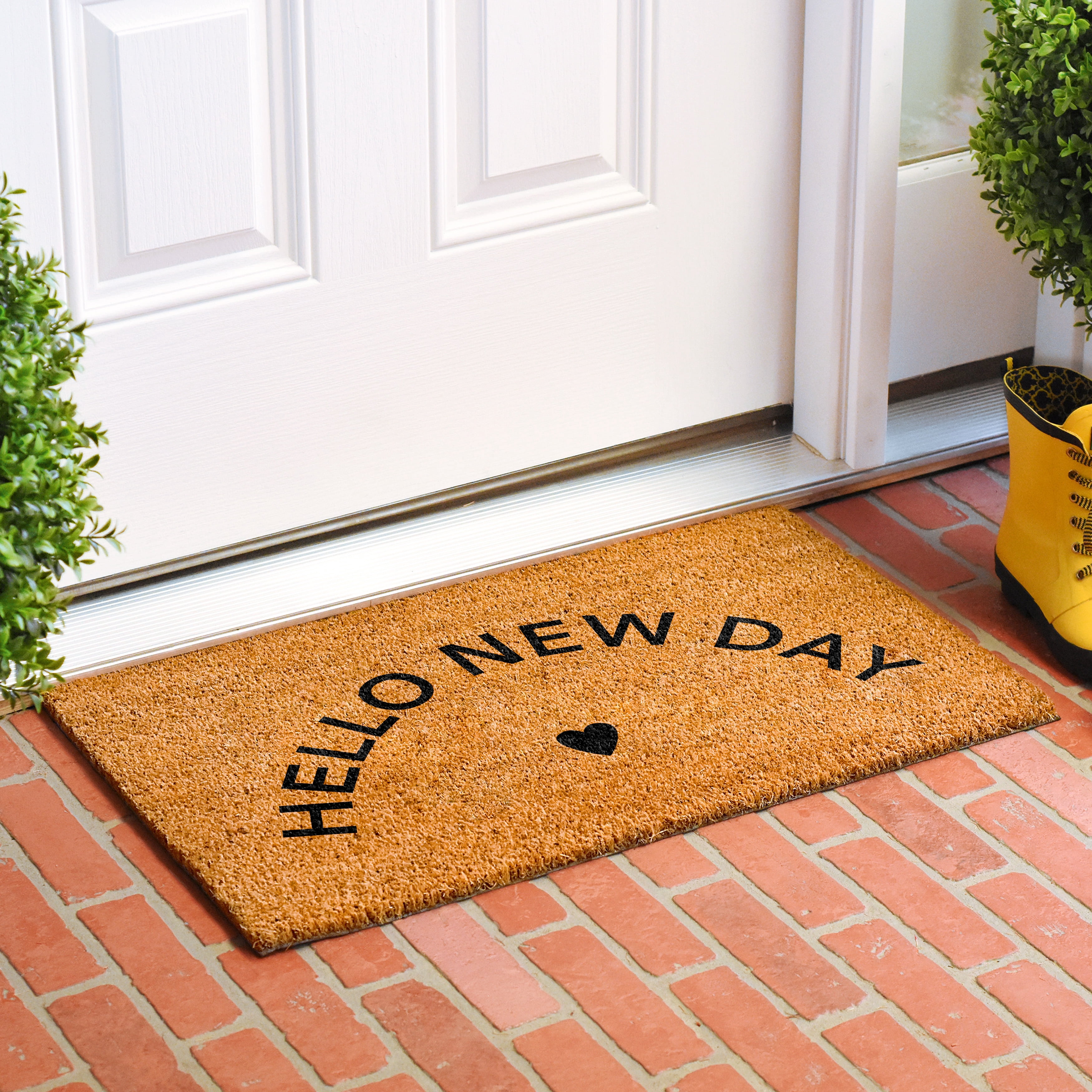 Calloway Mills 112101729 Hello New Day Black Doormat 17" x 29"