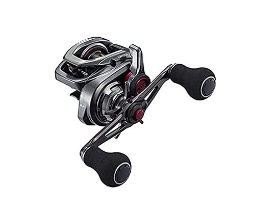 SHIMANO BAIT REEL DOUBLE AXIS REEL SALT ENGETSU 2021 101pg Left Offshore Tairaba