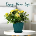 thumbnail image 3 of 6 inch Plant Pots, 5 Pack Flower Pots Outdoor Indoor, Planters with Drainage Hole and Tray Saucer(Blue）, 3 of 12