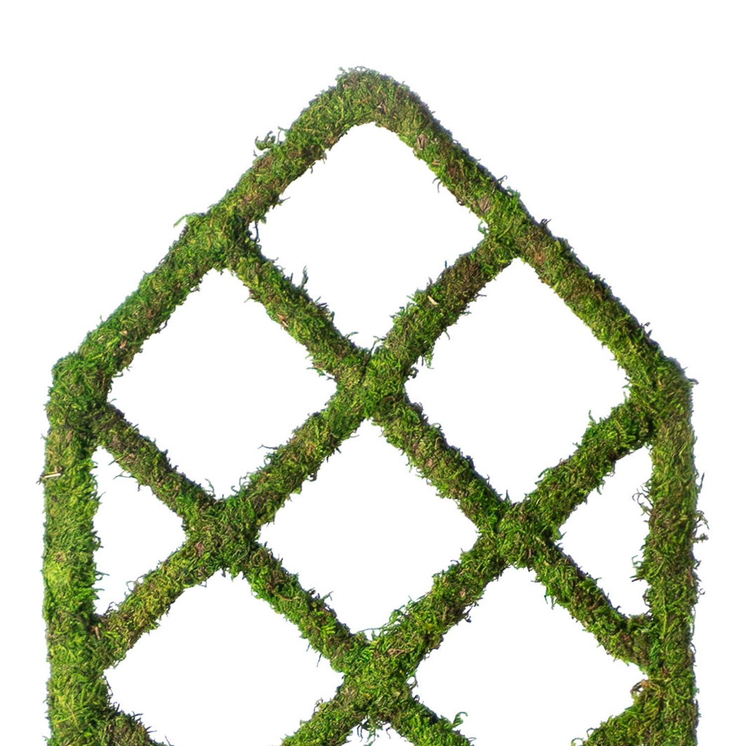 31.5" Moss Diamond Plant Trellis by Ashland  - Spring Floral for Crafting and Home Decor