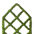 thumbnail image 3 of 31.5" Moss Diamond Plant Trellis by Ashland  - Spring Floral for Crafting and Home Decor, 3 of 3