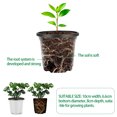 thumbnail image 4 of ASDIIT 100pcs Small Plant Pots 4 Inch Plastic Seedling Pots Nursery Seed Starter Pots Indoor Outdoor Greenhouse Accessories White, 4 of 6
