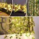 thumbnail image 5 of Cadena de luces solares para exteriores, cadena de luces de 50 LED con forma de hoja de sandía, 5 M/16,4 pies, 8 diseños para exteriores, adecuadas para decoraciones de Halloween, Navidad, bodas y cum, 5 of 5
