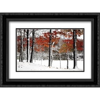 SnowFall 2x Matted 24x18 Black Ornate Framed Art Print by Lieberman , Burney