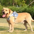 thumbnail image 4 of Reflective Dog Harnesses For Small Dogs Harness Collar Dog Vest Walking Dogs Harness And Leash Adjustable Lead Leash, 4 of 9