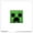 Unframed Version, variant on Gallery Pops Minecraft: Legends - Creeper Icon Wall Art, Black Framed Version, 12" x 12"