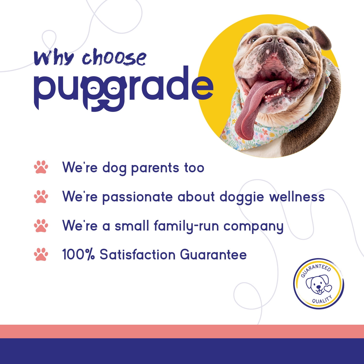 PupGrade Skin & Coat Soft Chews for Dogs, Omega-3 & Antioxidants, 120 Count Bag