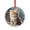 Pattern-3, variant on Kitten Playing Christmas Balls Crystal Glass Christmas Ornament Appreciation Gift for Xmas Friend Bestie Nurse Teacher Mentor Boss Coworker Cat Lover Gifts for Women Round Glass Hanging Ornament