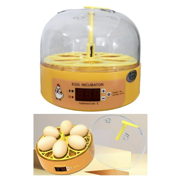 Incubadora automática de huevos Colco para 6 huevos con Control de temperatura