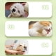 thumbnail image 4 of Peine Para Eliminar El Pelo De Mascotas 2025 Cepillo Para Gatos Y Perros Masaje Y Limpieza Del Pelo De Mascotas Características Cepillo Para Gatos Con Botón De Liberación Suministros Para El Aseo De, 4 of 5