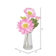 thumbnail image 4 of Vickerman 9" Gerbera Daisy Arrangement in Clear Vase, 4 of 4