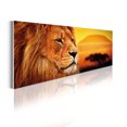 thumbnail image 1 of Animal Acrylic Glass Wall Art, Lion Portrait on Blurry Sunset Savannah Nature Panoramic View Wild Cat, Panoramic Decor Living Room Bedroom & Dorms, 47" x 16", Marigold Amber Maroon, by Ambesonne, 1 of 1