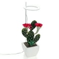 thumbnail image 5 of Fill Light Plants Glow Lights Garden Lamp High Quality Flower Durable USB Phytolamp Succulents LED, 5 of 5
