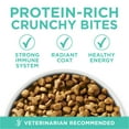 thumbnail image 6 of Purina ONE Plus, Sensitive Skin & Stomach, Dry Cat Food, Turkey, 7 lb Bag, 6 of 11