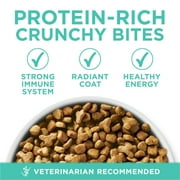 Purina ONE Plus, Sensitive Skin & Stomach, Dry Cat Food, Turkey, 3.5 lb Bag