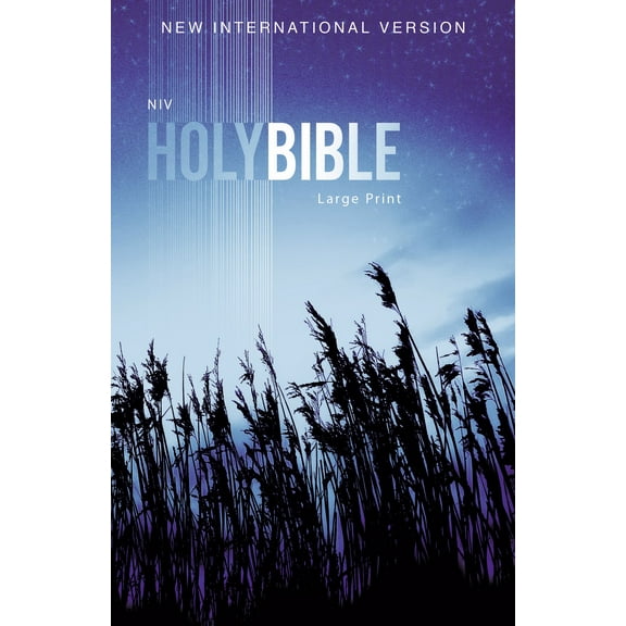 NIV Outreach Bible/Large Print-Blue Wheat Softcover