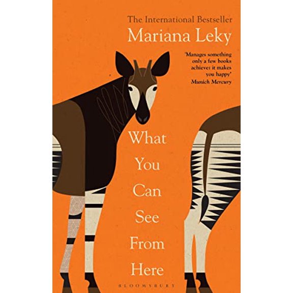Pre-Owned What You Can See From Here: 'A clear-eyed tonic in troubled times' (Guardian), 9781526638540, 1526638541, Paperback, International Edition edition