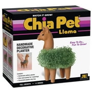 Llama Classic Chia Pet Handmade Decorative Planter by JEI