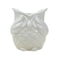 thumbnail image 1 of Maceta para plantas de interior, forma de búho, lindo estilo japonés, contenedor para decoración de interiores, oficina, hogar, balcón , Sin mirada, 1 of 8