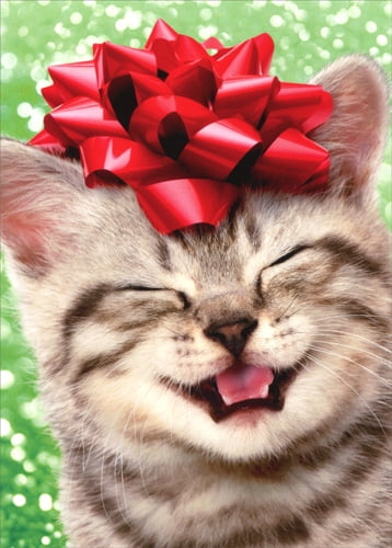 Avanti Press Happy Kitten With Red Bow Cat Christmas Card - Walmart.com