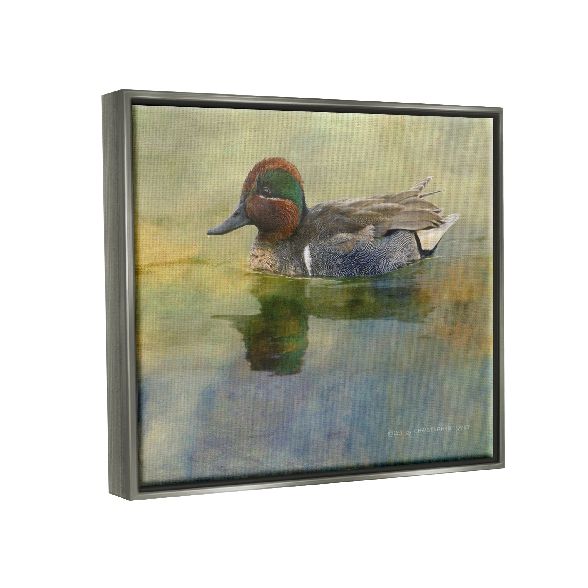 Stupell Wild Duck Nature Pond Wildlife Animals & Insects Photography Gray Floater Framed Art Print Wall Art