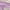Purple, variant on Bmisegm Fashion All Seasons Children Sports Girls Flat Lightweight Mesh Breathable and Comfortable Solid Lace up Hook Loop Casual Style Kids Shoes Pink 13 (US size)