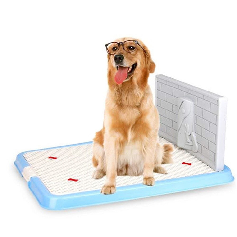 Tray for dog pee pads Clearance