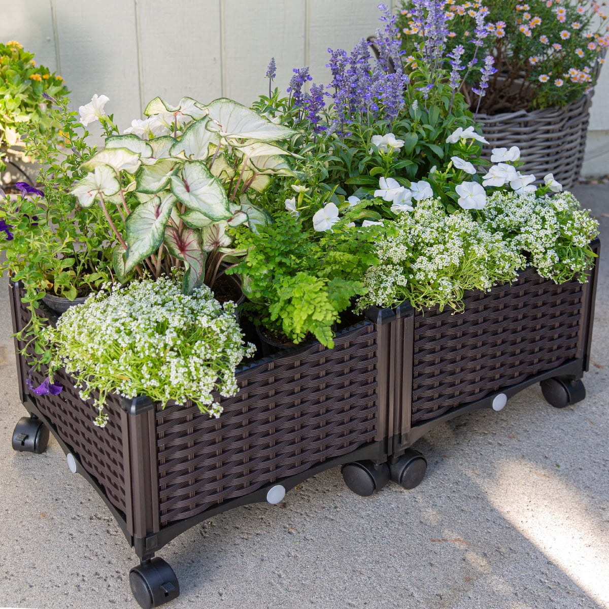 Barton Garden Bed 2-Piece Elevated Planter Box with Wheels for Vegetables, Flowers, Herbs Outdoor