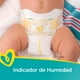 thumbnail image 5 of Pañales Pampers, tamaño N, 20 unidades, paquete de 2 x 40, 5 of 6