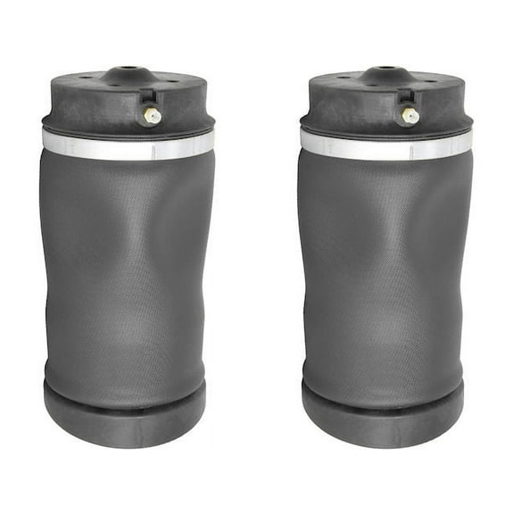 Rear Air Suspension Spring Set - Compatible with 2006 - 2012 Mercedes-Benz R350 2007 2008 2009 2010 2011