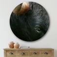 thumbnail image 2 of Designart 'Close-Up Of Eye Fighting Bull Head ' Farmhouse Circle Metal Wall Art 36x36 - Disc of 36, 2 of 5
