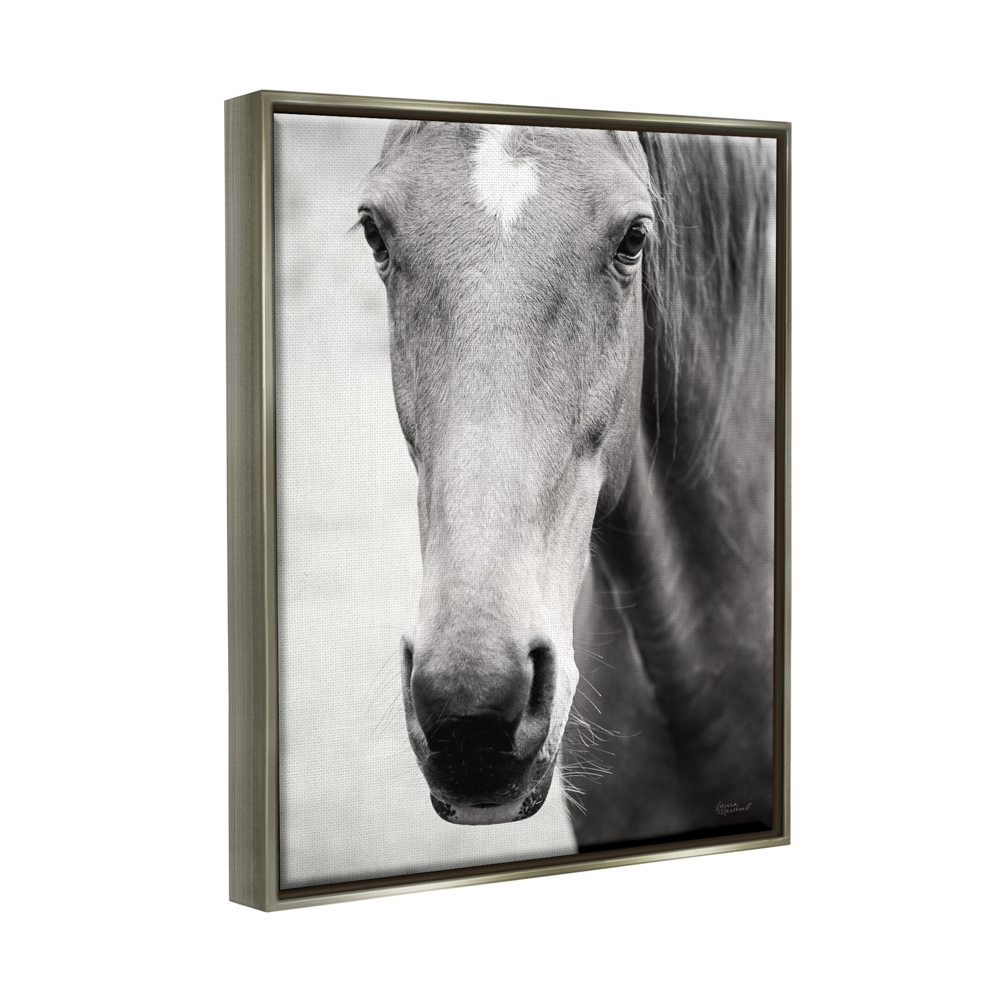 Stupell Industries Moke Lake Horse Photography Animals & Insects Photography Gray Floater Framed Art Print Wall Art, 17 x 21