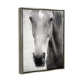 thumbnail image 3 of Stupell Industries Moke Lake Horse Photography Animals & Insects Photography Gray Floater Framed Art Print Wall Art, 25 x 31, 3 of 9