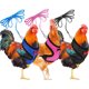 thumbnail image 1 of 3-pack, size M chicken harness with adjustable leash and breathable for pets, chicken harness for duck, goose, hen, 1 of 5