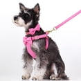 thumbnail image 4 of Juego de arneses para perros Beirui Cute, extra pequeño, con 3 lazos, color rosa intenso, 4 of 6