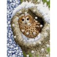 thumbnail image 1 of Carolines Treasures ASA2060GF Tawny Owl In The Tree Flag Garden Size, 1 of 3