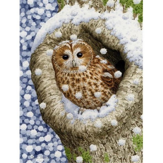 Carolines Treasures ASA2060GF Tawny Owl In The Tree Flag Garden Size