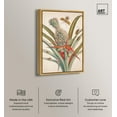 thumbnail image 3 of Art Remedy Botanical Prints Canvas, 16" x 24", Gold Frame, Merian Metamorphosis, 3 of 7