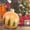 orange, variant on Halloween Trend Decorations Christmas Decors Ball 23.6 Inch Decoration Ball Outdoor Christmas PVC Inflatable Decorated Ball For Home Christmas Decor Good Gift